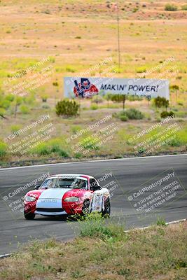 media/May-05-2024-Lucky Dog Racing (Sun) [[8a365fce5b]]/1030am-Turn 3/